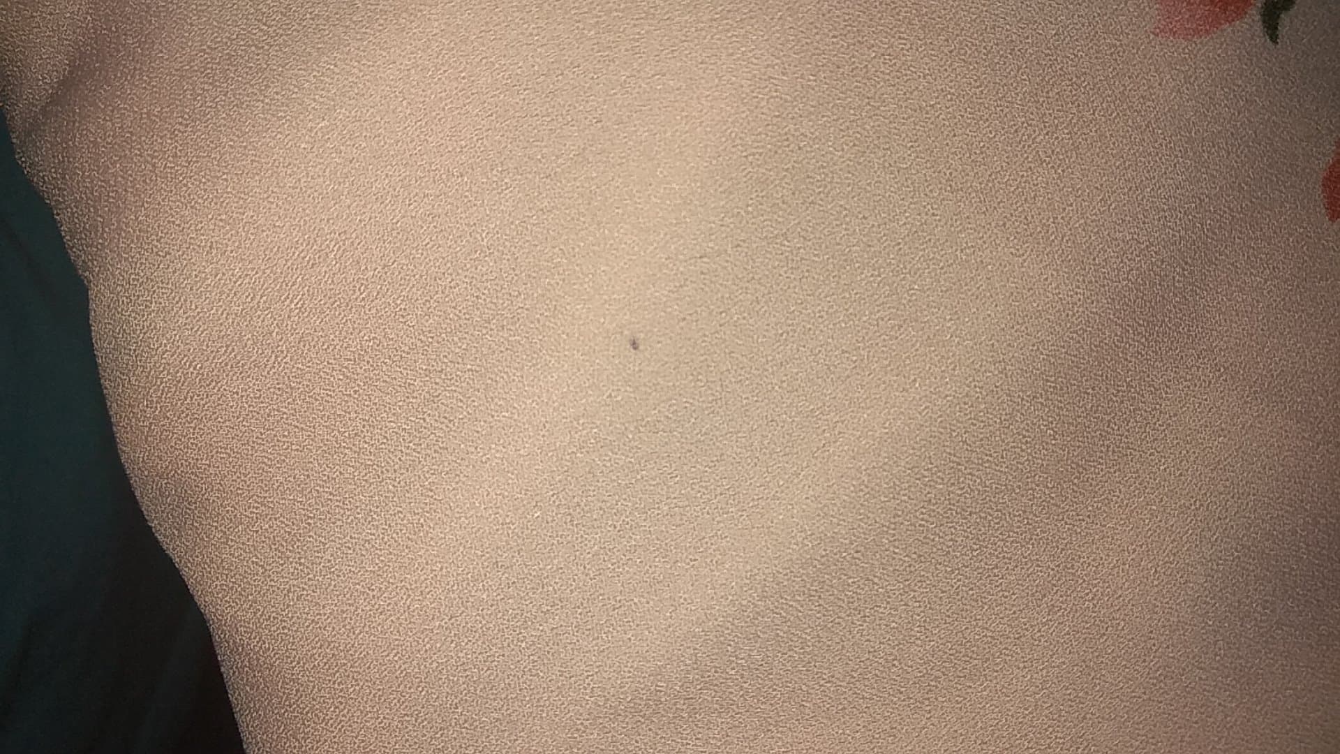 121964203_946385569190543_2976922981815581173_n