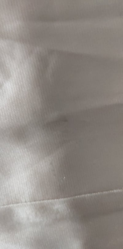 211572024_2795436087433489_8698434174296607424_n