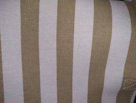 242656919_1225662847909853_4524823211556413539_n 242656919_1225662847909853_4524823211556413539_n.jpg