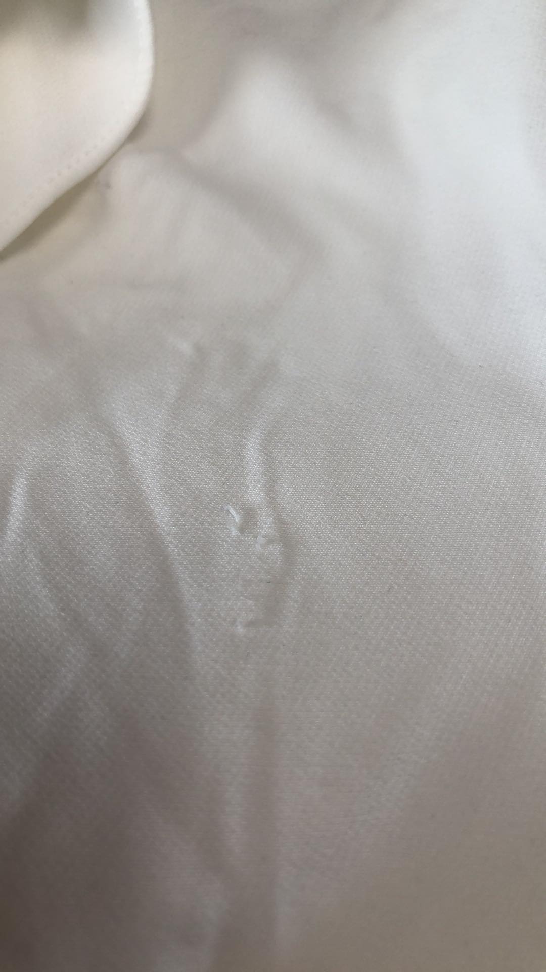 286415029_739858217445136_789205669269948372_n