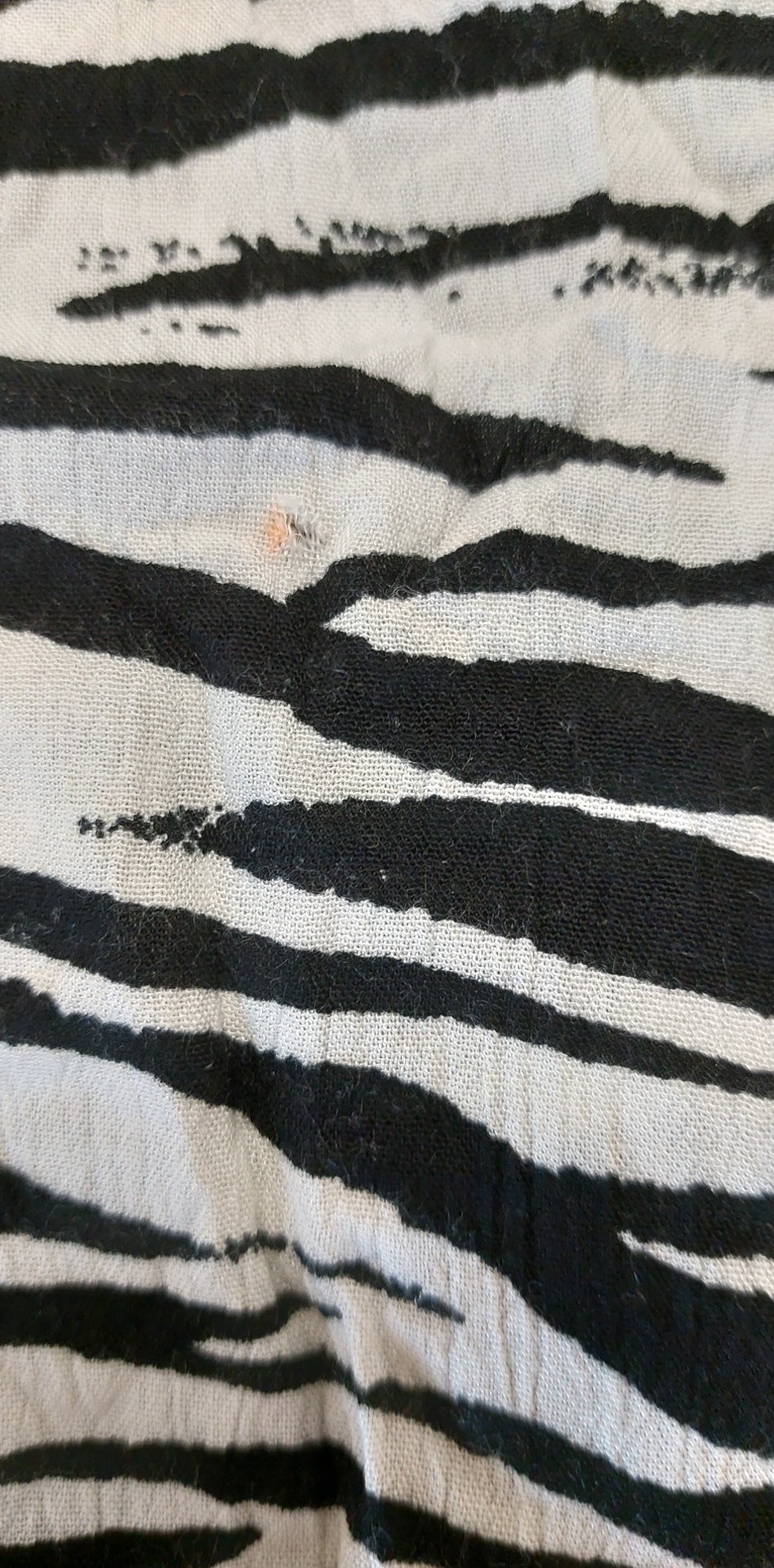 290173466_1043922959572178_3679129670292875866_n