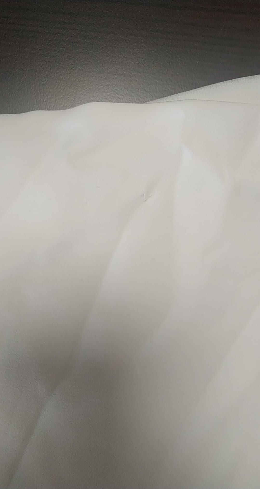 296626965_917383565885768_5066485209622337326_n 296626965_917383565885768_5066485209622337326_n.jpg