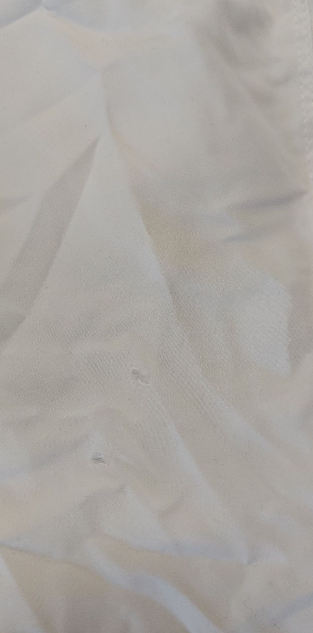 297259782_753153632407770_3179840788229344703_n 297259782_753153632407770_3179840788229344703_n.jpg