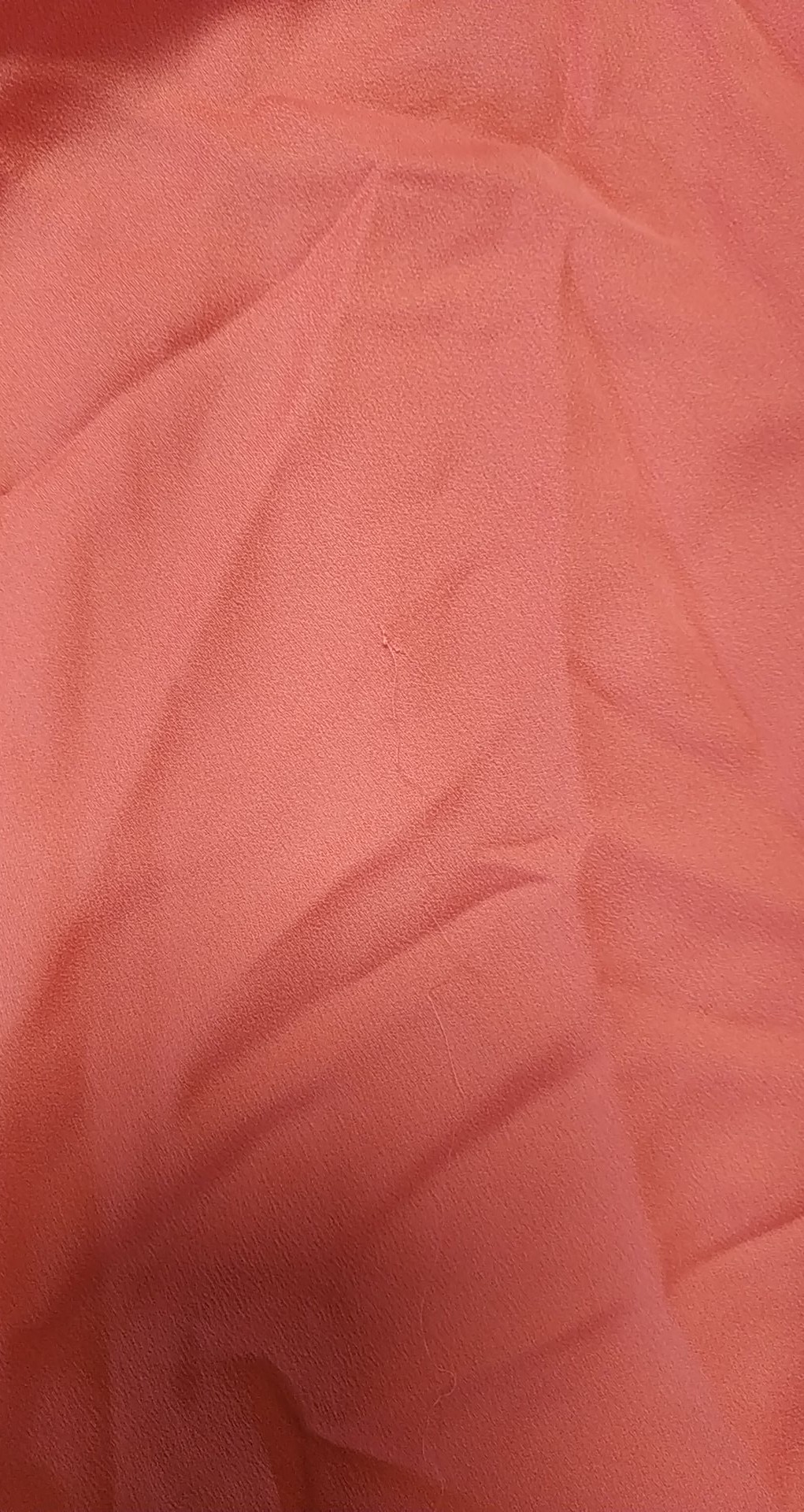 305471769_5333089823465746_6595397177166303147_n 305471769_5333089823465746_6595397177166303147_n.jpg