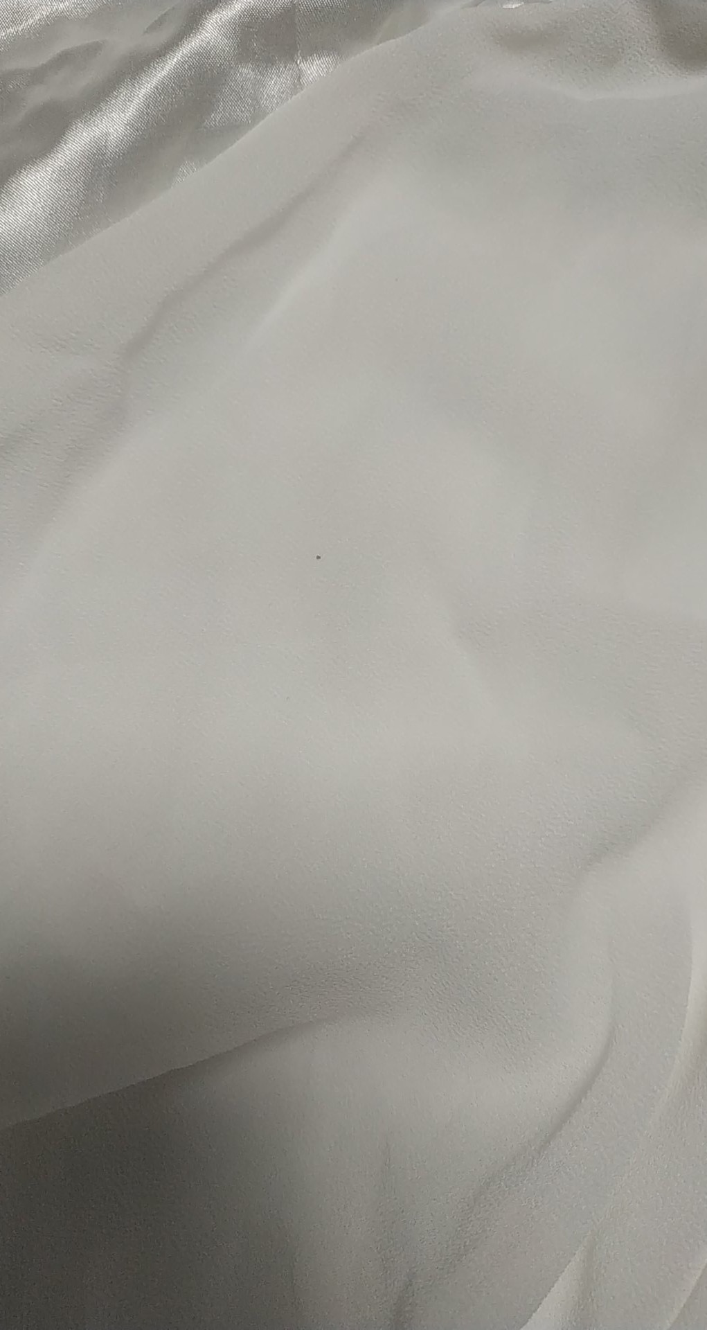 306469730_2285216688310156_3847820566672239466_n 306469730_2285216688310156_3847820566672239466_n.jpg