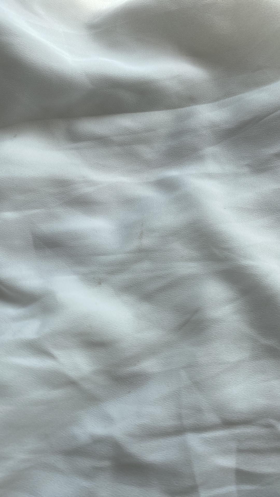 338827778_1422781748526700_3121586697251932409_n